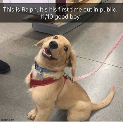 GOOD BOII | made w/ Imgflip meme maker