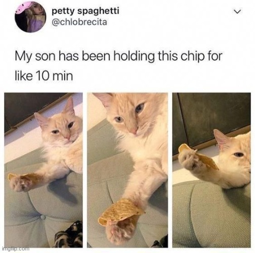 XD | made w/ Imgflip meme maker