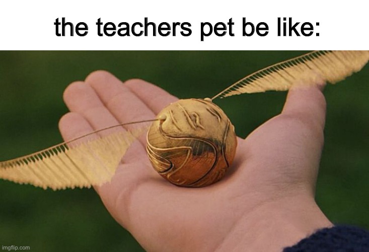 The Golden Snitch | the teachers pet be like: | image tagged in the golden snitch | made w/ Imgflip meme maker