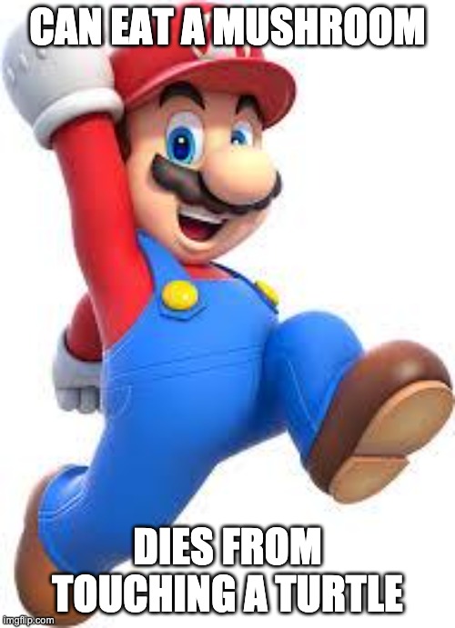mario logic | CAN EAT A MUSHROOM; DIES FROM TOUCHING A TURTLE | image tagged in mario | made w/ Imgflip meme maker
