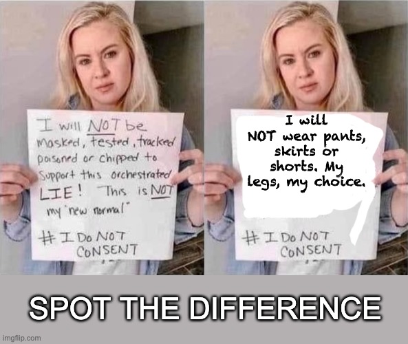 Inspired by Sloth | I will NOT wear pants, skirts or shorts. My legs, my choice. SPOT THE DIFFERENCE | image tagged in mask,rules,karens,safety,covid-19 | made w/ Imgflip meme maker