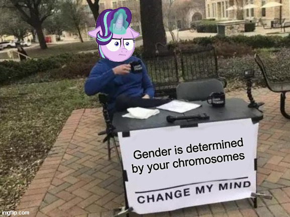 It's True | Gender is determined by your chromosomes | image tagged in memes,change my mind | made w/ Imgflip meme maker