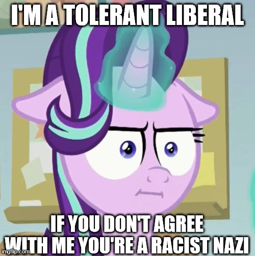 Tolerant liberal | I'M A TOLERANT LIBERAL; IF YOU DON'T AGREE WITH ME YOU'RE A RACIST NAZI | image tagged in starlight glimmer i | made w/ Imgflip meme maker