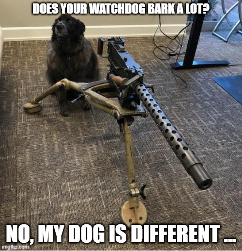 different watchdog | DOES YOUR WATCHDOG BARK A LOT? NO, MY DOG IS DIFFERENT ... | image tagged in funny memes | made w/ Imgflip meme maker