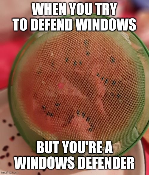 Windows defender be like: | WHEN YOU TRY TO DEFEND WINDOWS; BUT YOU'RE A WINDOWS DEFENDER | image tagged in failed protector | made w/ Imgflip meme maker