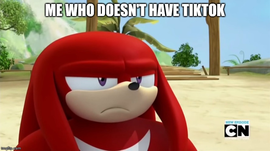 Knuckles is not Impressed - Sonic Boom | ME WHO DOESN'T HAVE TIKTOK | image tagged in knuckles is not impressed - sonic boom | made w/ Imgflip meme maker