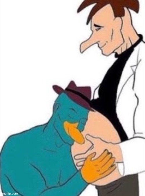 Perry the platypus doctor doof mpreg!!!!!!!!!!!!!! | image tagged in perry the platypus,pregnant,gay,homosexual | made w/ Imgflip meme maker