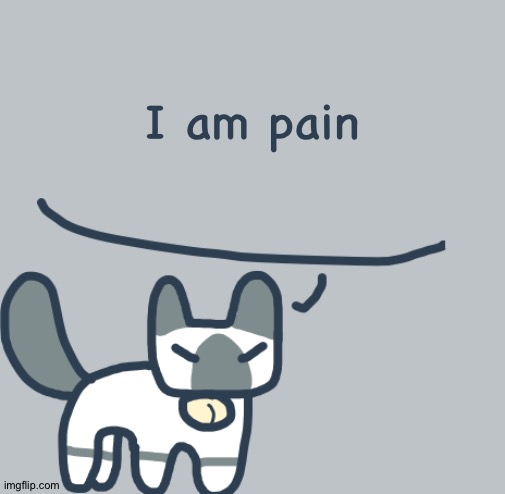Cat | I am pain | image tagged in cat | made w/ Imgflip meme maker