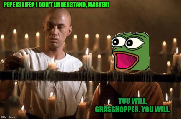 Vote pepe! Our kungfu is the best! | PEPE IS LIFE? I DON'T UNDERSTAND, MASTER! YOU WILL, GRASSHOPPER. YOU WILL. | image tagged in kung fu grasshopper,pepe the frog,vote,pepe,party,martial arts | made w/ Imgflip meme maker