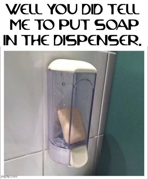 WELL YOU DID TELL 
ME TO PUT SOAP IN THE DISPENSER. | image tagged in you had one job | made w/ Imgflip meme maker