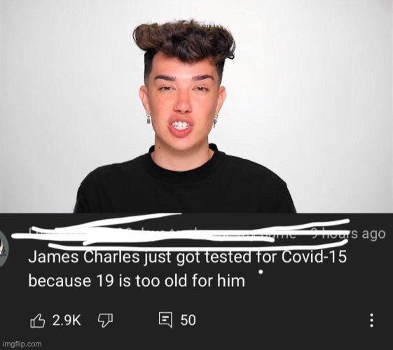 wow lol | image tagged in funny,james charles,covid 19,roast | made w/ Imgflip meme maker