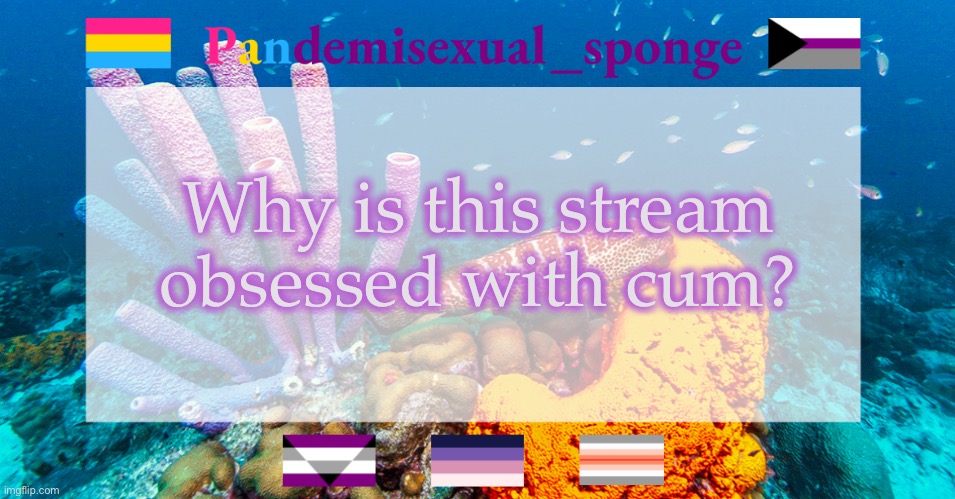S h r u g | Why is this stream obsessed with cum? | image tagged in pandemisexual_sponge temp,demisexual_sponge | made w/ Imgflip meme maker
