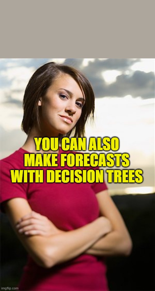 Decision trees in forecasting | YOU CAN ALSO MAKE FORECASTS WITH DECISION TREES | image tagged in smug woman | made w/ Imgflip meme maker