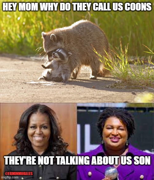 Coons | HEY MOM WHY DO THEY CALL US COONS; THEY'RE NOT TALKING ABOUT US SON; @ERMINMORALES | image tagged in funny | made w/ Imgflip meme maker