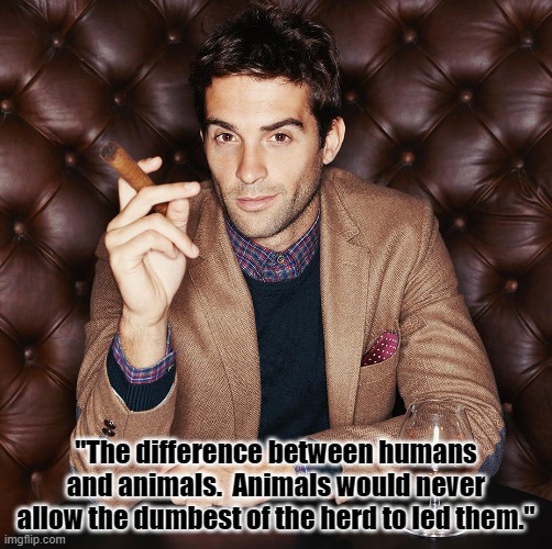 Difference Between Human and Animals | "The difference between humans and animals.  Animals would never allow the dumbest of the herd to led them." | image tagged in human,animals,difference between human and animals | made w/ Imgflip meme maker