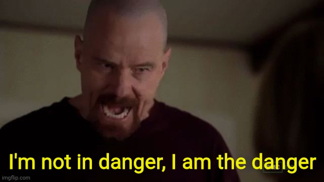 I am the danger | I'm not in danger, I am the danger | image tagged in i am the danger | made w/ Imgflip meme maker