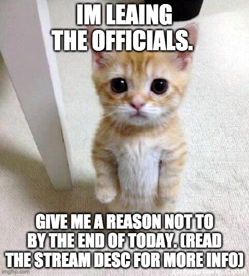 :( | IM LEAING THE OFFICIALS. GIVE ME A REASON NOT TO BY THE END OF TODAY. (READ THE STREAM DESC FOR MORE INFO) | image tagged in memes,cute cat | made w/ Imgflip meme maker