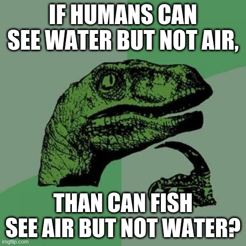 I've been wondering for quite some time now... | IF HUMANS CAN SEE WATER BUT NOT AIR, THAN CAN FISH SEE AIR BUT NOT WATER? | image tagged in memes,philosoraptor | made w/ Imgflip meme maker