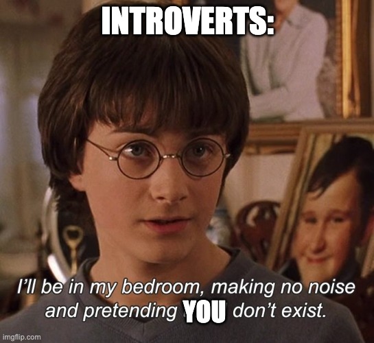 Harry Potter | INTROVERTS:; YOU | image tagged in harry potter | made w/ Imgflip meme maker