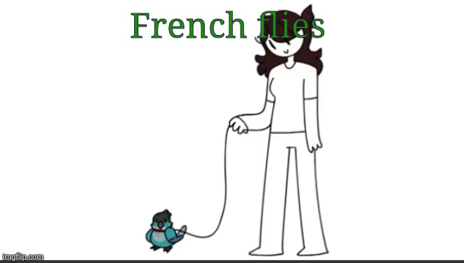 Jaiden walking Ari | French flies | image tagged in jaiden walking ari | made w/ Imgflip meme maker