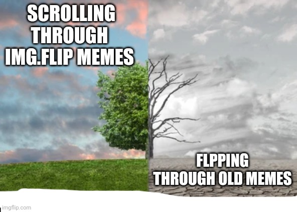 try yourself if dont belive | SCROLLING THROUGH IMG.FLIP MEMES; FLPPING THROUGH OLD MEMES | image tagged in imgflip,imgflips,imgflipss,funny,memes,why are you reading this | made w/ Imgflip meme maker