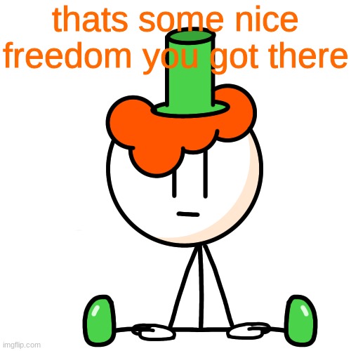 thats some nice freedom you got there | image tagged in that s some bozo shit lucky | made w/ Imgflip meme maker