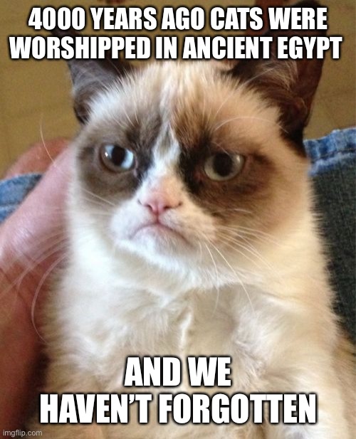Gods and Kitties | 4000 YEARS AGO CATS WERE WORSHIPPED IN ANCIENT EGYPT; AND WE HAVEN’T FORGOTTEN | image tagged in memes,grumpy cat | made w/ Imgflip meme maker