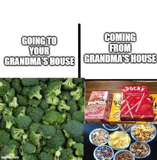 lol | COMING FROM GRANDMA'S HOUSE; GOING TO YOUR GRANDMA'S HOUSE | image tagged in funny memes,nice | made w/ Imgflip meme maker