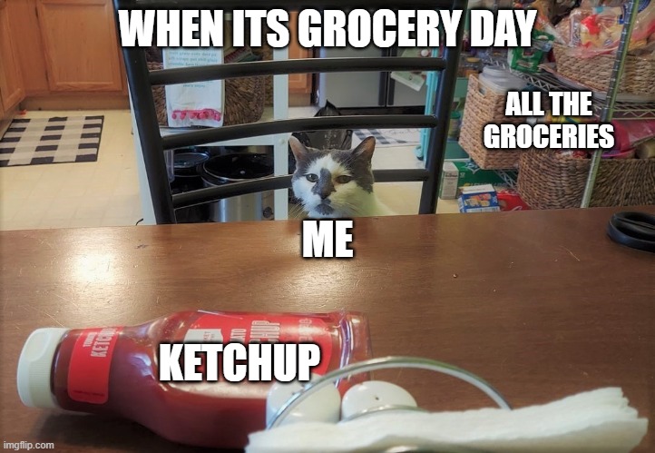 Ketchup cat | WHEN ITS GROCERY DAY; ALL THE GROCERIES; ME; KETCHUP | image tagged in meme | made w/ Imgflip meme maker