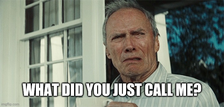 Clint Eastwood WTF | WHAT DID YOU JUST CALL ME? | image tagged in clint eastwood wtf | made w/ Imgflip meme maker