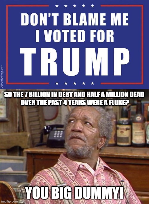 Yeah. I blame you. | SO THE 7 BILLION IN DEBT AND HALF A MILLION DEAD
 OVER THE PAST 4 YEARS WERE A FLUKE? YOU BIG DUMMY! | image tagged in fred sanford,dump trump,dumptrump | made w/ Imgflip meme maker