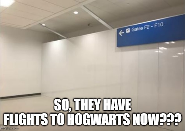 Harry Potter Airlines | SO, THEY HAVE FLIGHTS TO HOGWARTS NOW??? | image tagged in you had one job | made w/ Imgflip meme maker
