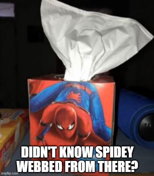 Spiderbutt....Spiderbutt.... | DIDN'T KNOW SPIDEY WEBBED FROM THERE? | image tagged in spiderman | made w/ Imgflip meme maker