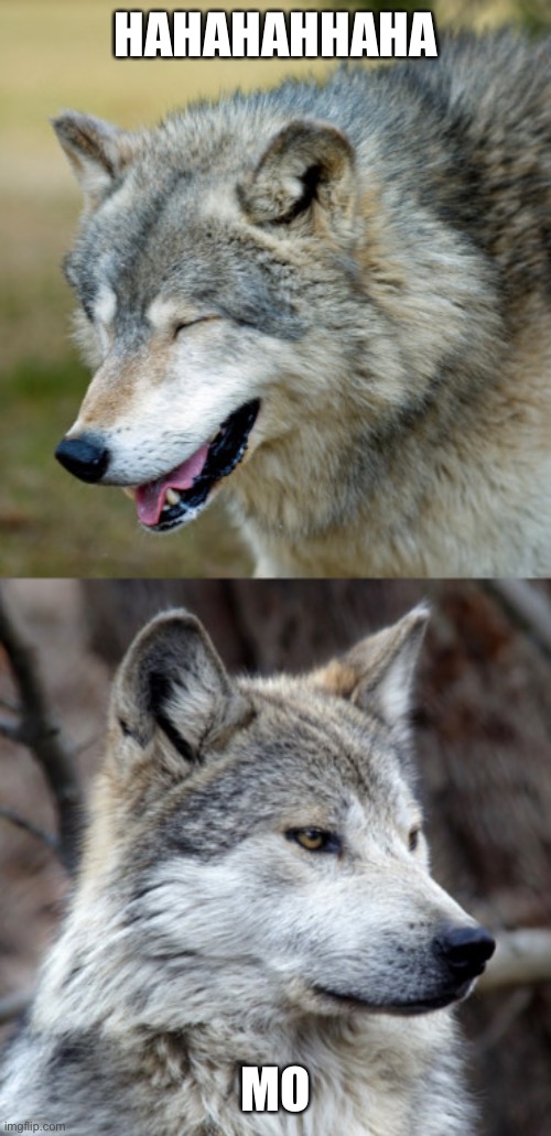 haha-no-wolf | HAHAHAHHAHA NO | image tagged in haha-no-wolf | made w/ Imgflip meme maker
