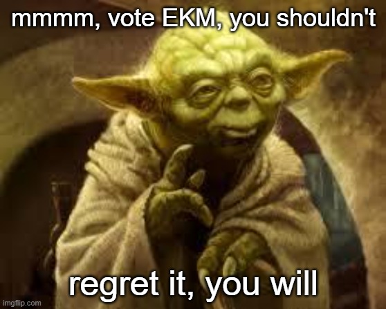 yoda | mmmm, vote EKM, you shouldn't regret it, you will | image tagged in yoda | made w/ Imgflip meme maker