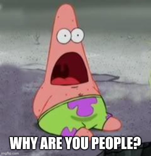 Suprised Patrick | WHY ARE YOU PEOPLE? | image tagged in suprised patrick | made w/ Imgflip meme maker