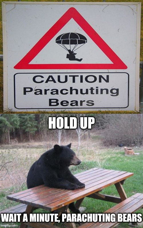 Caution Parachuting Bears | HOLD UP; WAIT A MINUTE, PARACHUTING BEARS | image tagged in memes,bad luck bear,parachute,bears,reposts,repost | made w/ Imgflip meme maker