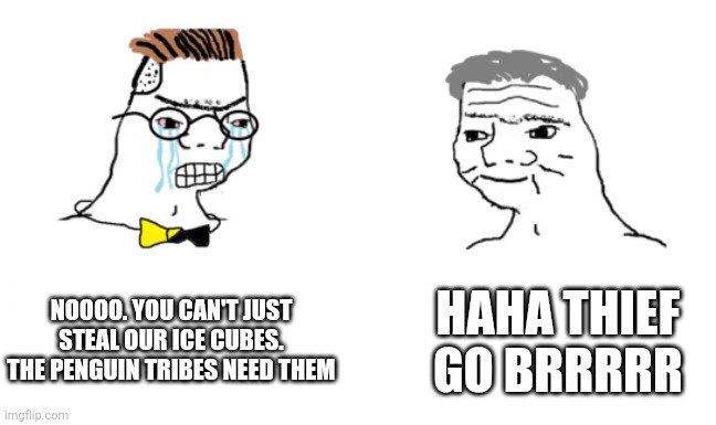 No more penguin ice cube memes for today. | NOOOO. YOU CAN'T JUST STEAL OUR ICE CUBES. THE PENGUIN TRIBES NEED THEM; HAHA THIEF GO BRRRRR | image tagged in noooo you can't just,ice cubes | made w/ Imgflip meme maker