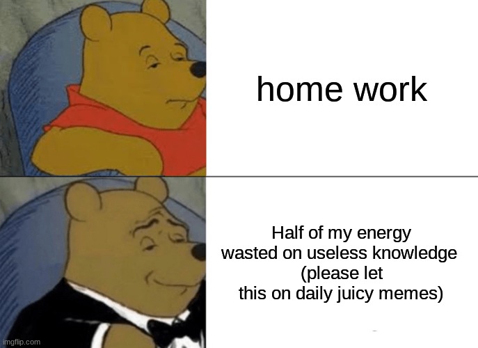 What homework stands for | home work; Half of my energy wasted on useless knowledge 
(please let this on daily juicy memes) | image tagged in memes,tuxedo winnie the pooh | made w/ Imgflip meme maker