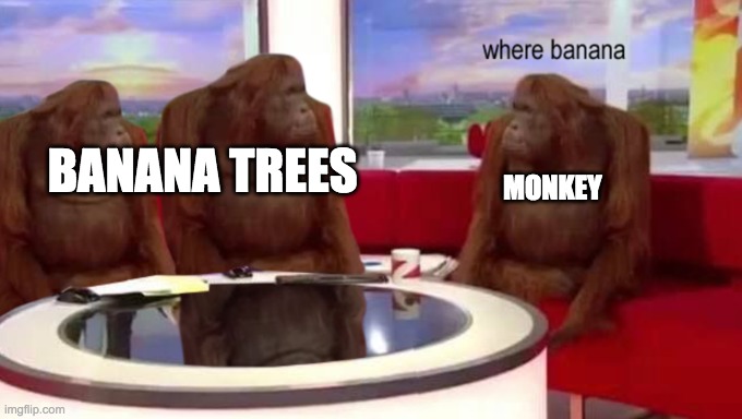 where banana | BANANA TREES; MONKEY | image tagged in where banana | made w/ Imgflip meme maker