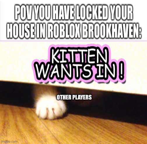 It do be like that tho ??? | OTHER PLAYERS | image tagged in roblox,gaming,cats | made w/ Imgflip meme maker