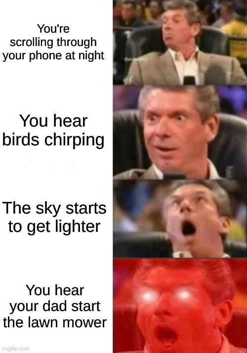 What year is it? | You're scrolling through your phone at night; You hear birds chirping; The sky starts to get lighter; You hear your dad start the lawn mower | image tagged in mr mcmahon reaction | made w/ Imgflip meme maker