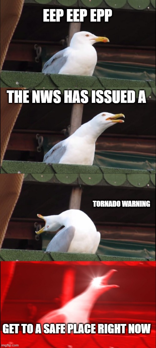 tornados irl | EEP EEP EPP; THE NWS HAS ISSUED A; TORNADO WARNING; GET TO A SAFE PLACE RIGHT NOW | image tagged in memes,inhaling seagull | made w/ Imgflip meme maker