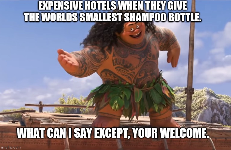 Hotel Shampoo bottles be like: | EXPENSIVE HOTELS WHEN THEY GIVE THE WORLDS SMALLEST SHAMPOO BOTTLE. WHAT CAN I SAY EXCEPT, YOUR WELCOME. | image tagged in you're welcome without subs | made w/ Imgflip meme maker