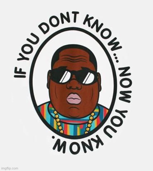 Biggie Smalls if you don’t know now you know | image tagged in biggie smalls if you don t know now you know | made w/ Imgflip meme maker