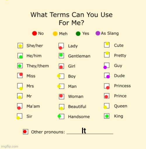 my pronouns  ☜ (･ω･) ｡.ﾟ+☆ﾟ.*･｡ﾟ | It | image tagged in pronouns sheet | made w/ Imgflip meme maker