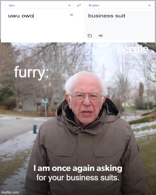 Bernie I Am Once Again Asking For Your Support | furry:; for your business suits. | image tagged in memes,bernie i am once again asking for your support | made w/ Imgflip meme maker