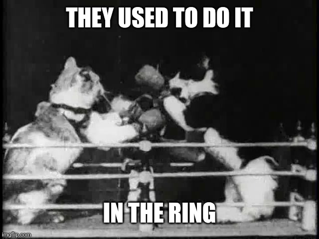 THEY USED TO DO IT IN THE RING | made w/ Imgflip meme maker
