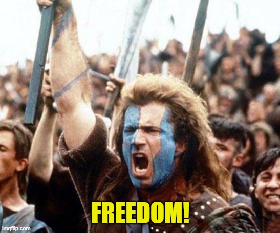 braveheart freedom | FREEDOM! | image tagged in braveheart freedom | made w/ Imgflip meme maker