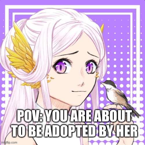 Please no op ocs, also tons of story here if you are interested | POV: YOU ARE ABOUT TO BE ADOPTED BY HER | made w/ Imgflip meme maker